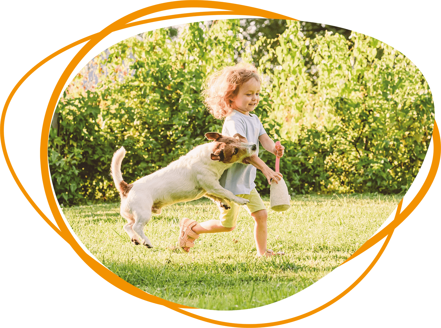 Header Blog - Bijtwond door hond: wat moet je doen