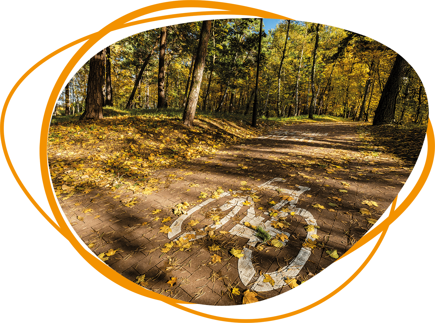 Header Blog - Gladheid door herfstweer