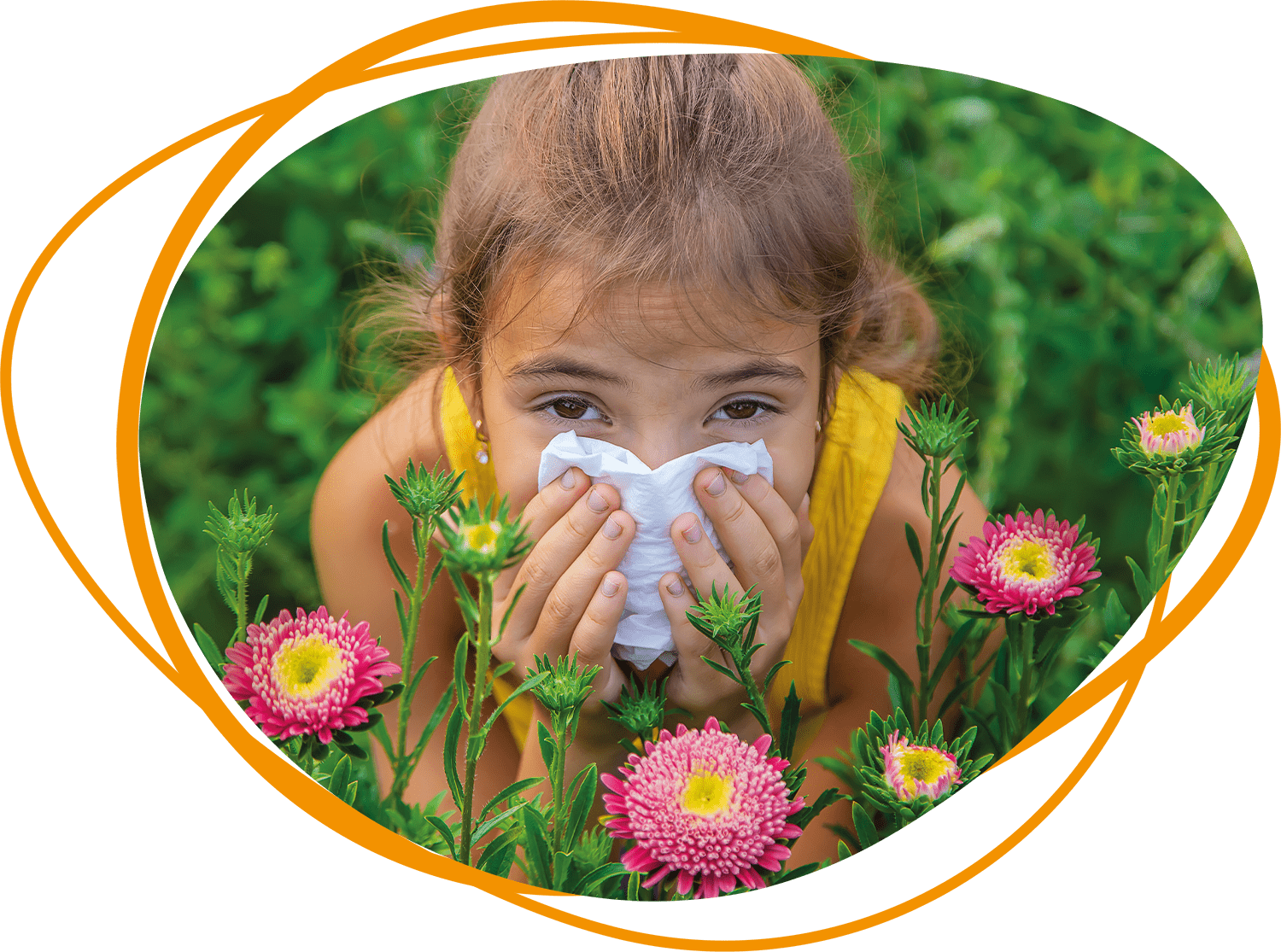 Header Blog - Last van hooikoorts